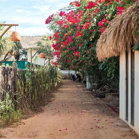 Apartamento Peixe Boi - pé na areia com vista frontal e total para o mar Barra Grande  Extérieur photo